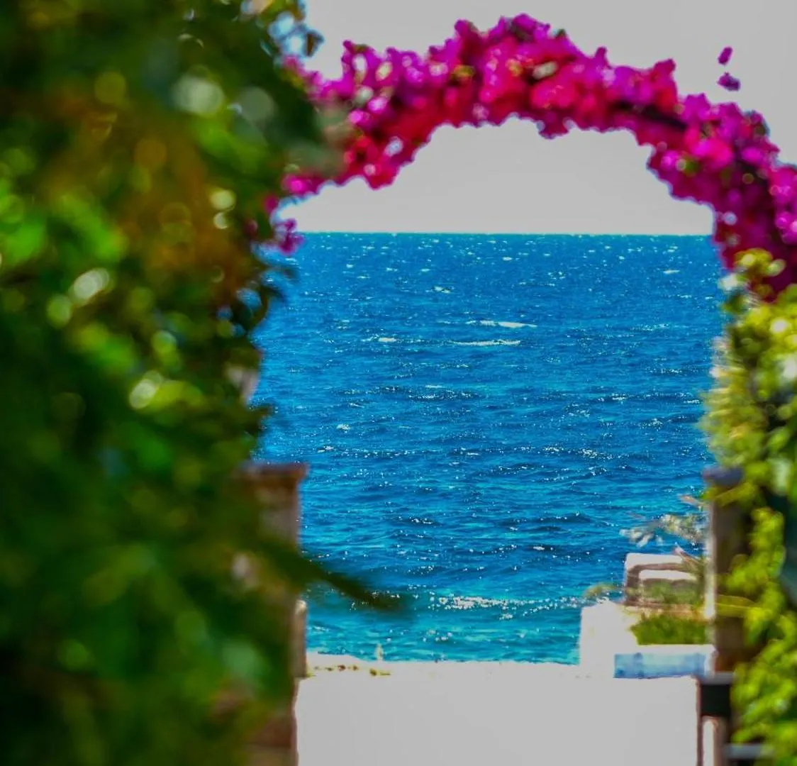 Lizbonia Hotels Bodrum 0*,  Törökország