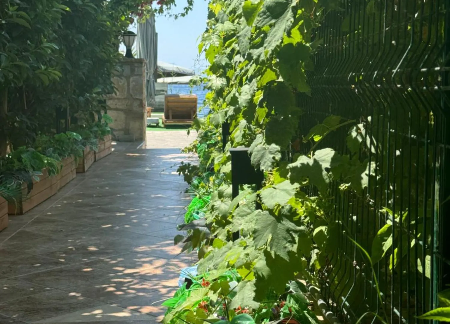 Lizbonia Hotels Bodrum Törökország